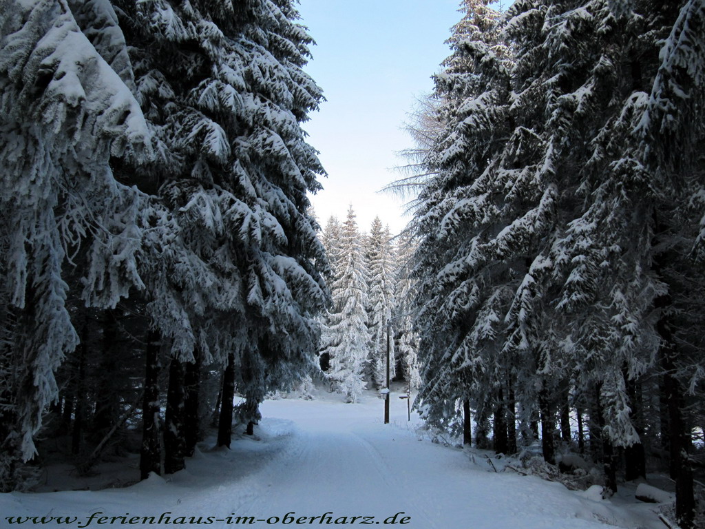 Winterurlaub im Harz / Oberharz